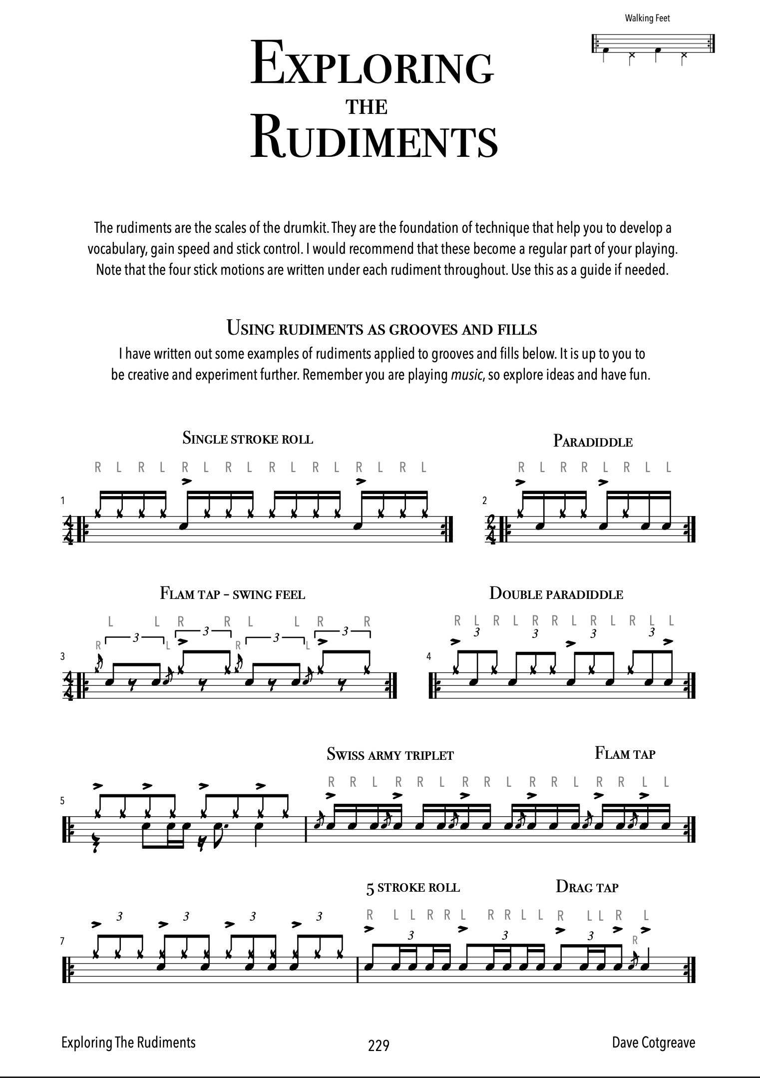 Exploring the Rudiments